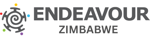 ERP Software in Zimbabwe